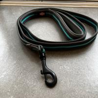 Guinzaglio e collare Truxie