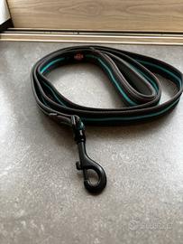 Guinzaglio e collare Truxie