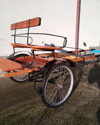 Calesse per cavallo