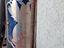 Immagine 5
