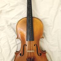 Violino gran solista