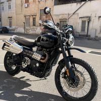 Triumph Scrambler 1200 - 2024