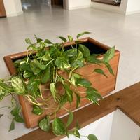 3 Fioriere da interno