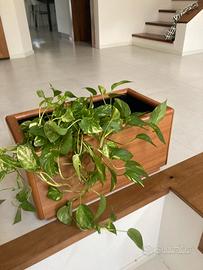 3 Fioriere da interno