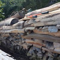 Legni pregiati anche per hobbistica