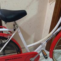 Bicicletta Holland Bike