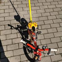 Bicicletta Regina bambino taglia 12