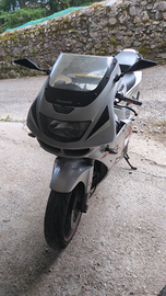 Kawasaki ninja zx6-r