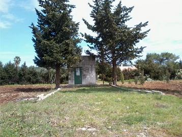 Terreno agricolo con piccolo deposito