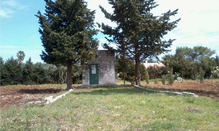 Terreno agricolo con piccolo deposito