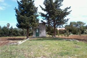 Terreno agricolo con piccolo deposito