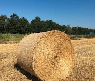 Ballone di paglia