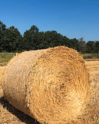 Ballone di paglia