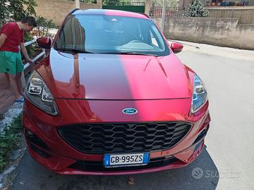 Accessori auto