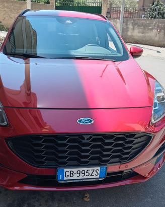 Accessori auto