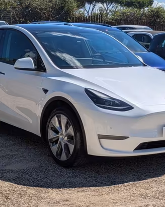 TESLA Model Y Performance Dual Motor awd 350Kw