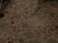 Immagine 25