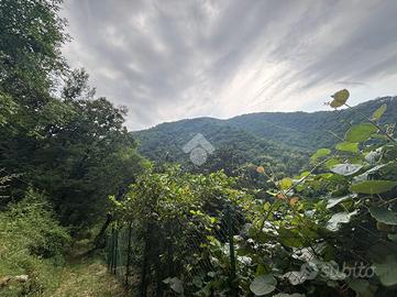 TER. AGRICOLO A RAPALLO