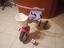 Immagine 2