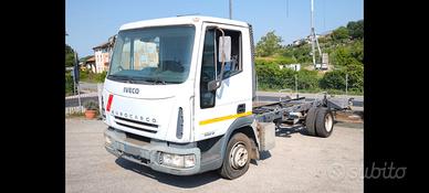 IVECO 65E15 anno 2006 a telaio passo 3690
