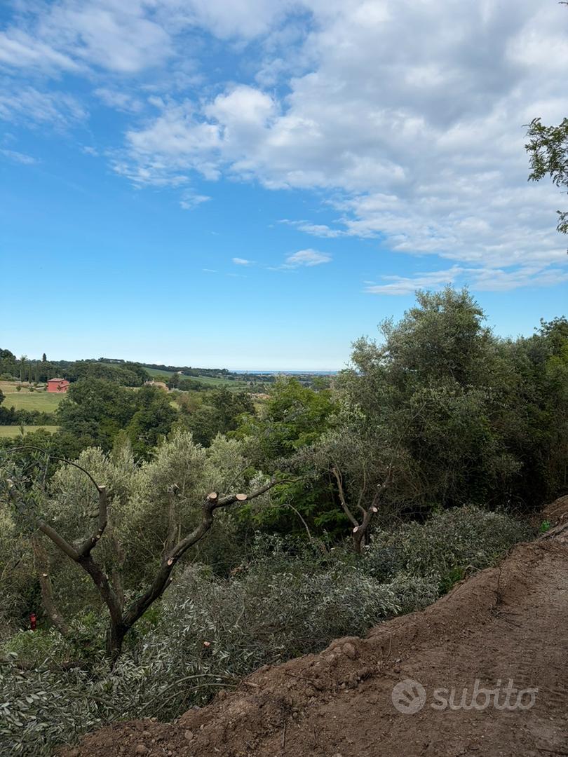 Terreno agricolo con acqua e luce - Vista 4