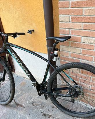 Mtb olympia  bull 29