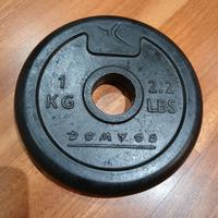 dischi da palestra da 1 kg