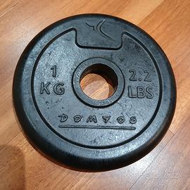 dischi da palestra da 1 kg