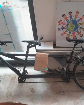 tandem cannondale 