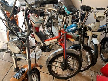 motorini