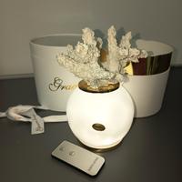 Bomboniere matrimonio