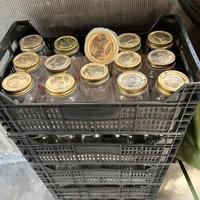 vasetti per conserve