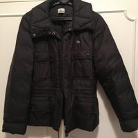 Giacca imbottita Lacoste