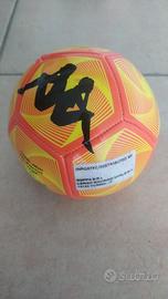 Pallone da calcio 