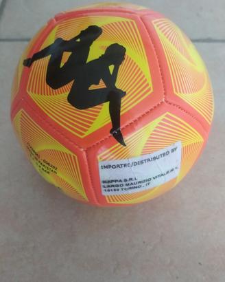 Pallone da calcio 