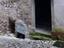 Immagine 15