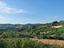 Immagine 19