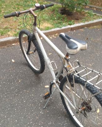 Bicicletta Mountabike 