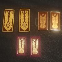 Polizia di Stato - Lotto Vari Alamari/Mostrine