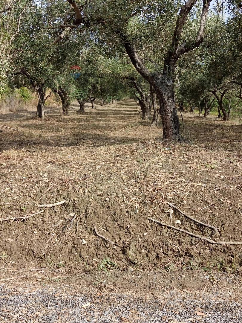 Terreno - Barcellona Pozzo di Gotto - Vista 2