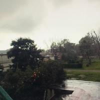 Bilocale agnano 50mq