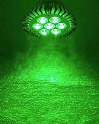 Lampadina LED Verde (520-530 nm) PAR30 da 21 W