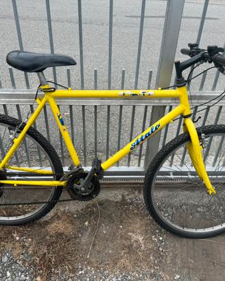 Bici MTB
