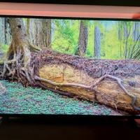 Smart TV Philips 43" 4K UHD Ambilight