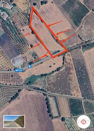 Vendita terreno agricolo