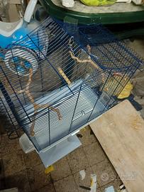 gabbia con piedino