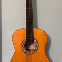 Chitarra acustica