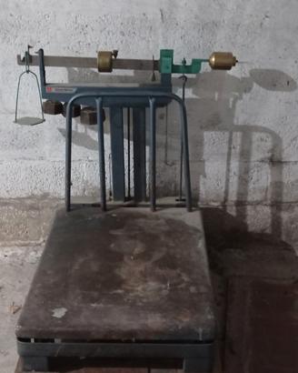 Pesa basculante 