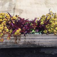 vaso cemento rettangolare 80x25x25
