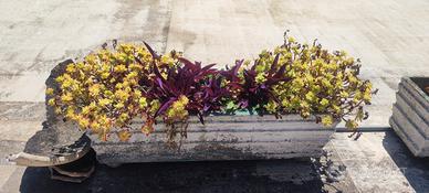 vaso cemento rettangolare 80x25x25
